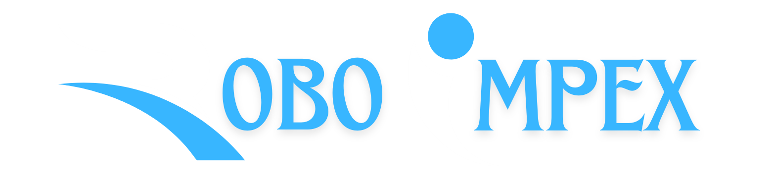 Robo Impex Logo